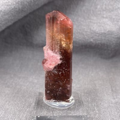 Rubellite