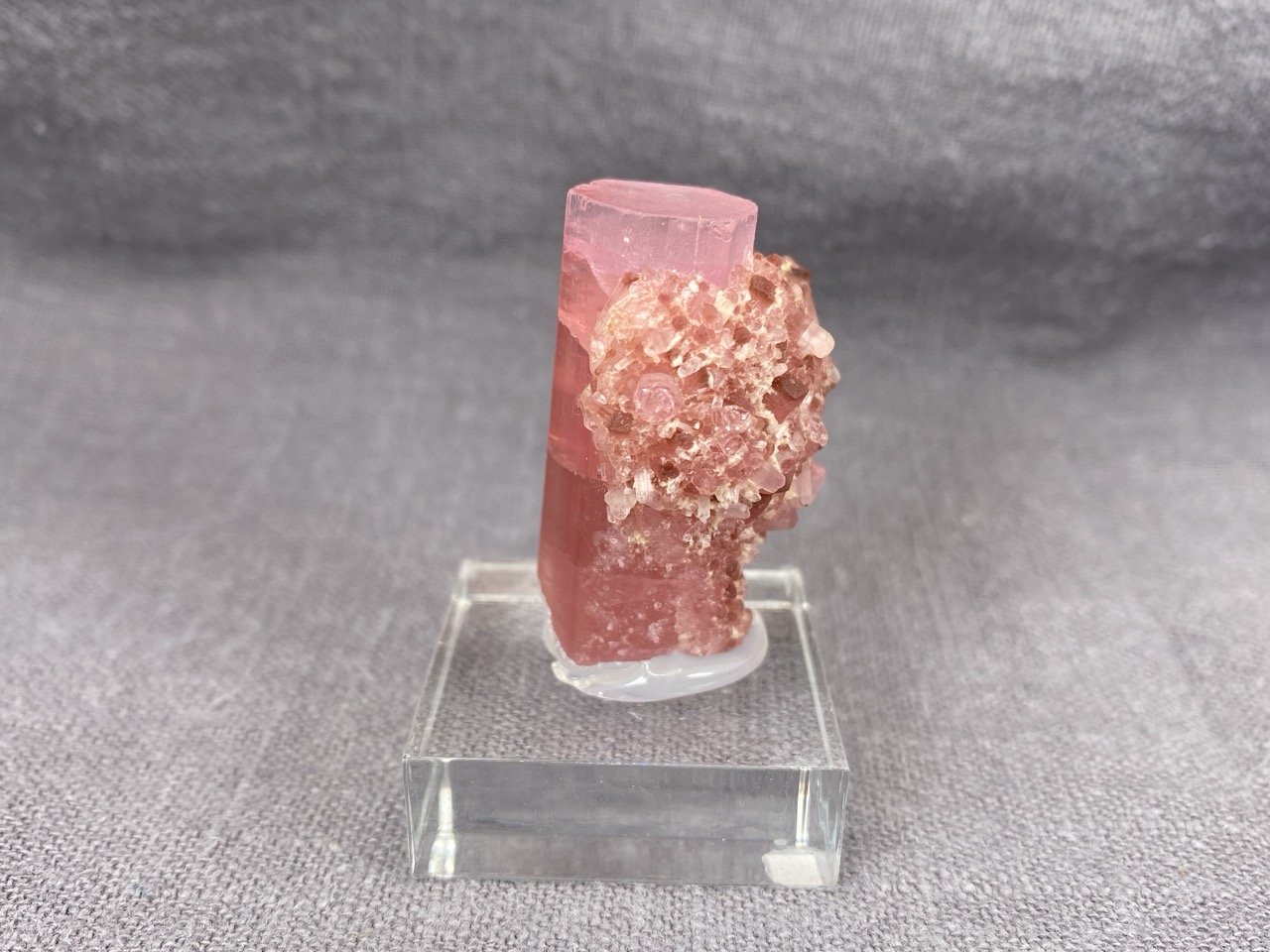 Rubellite - Image 5