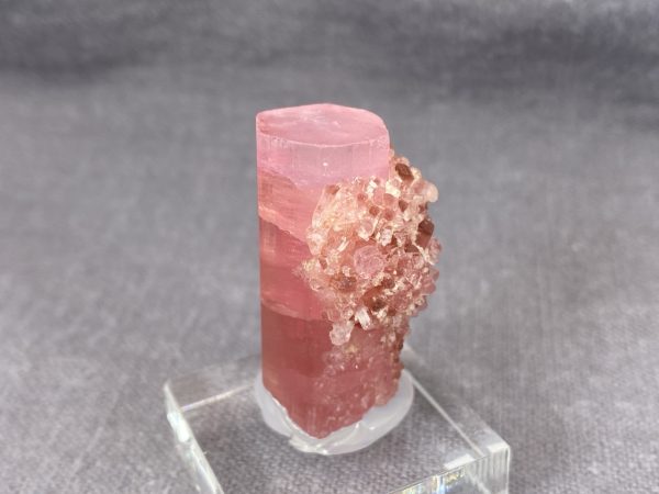Rubellite - Image 9