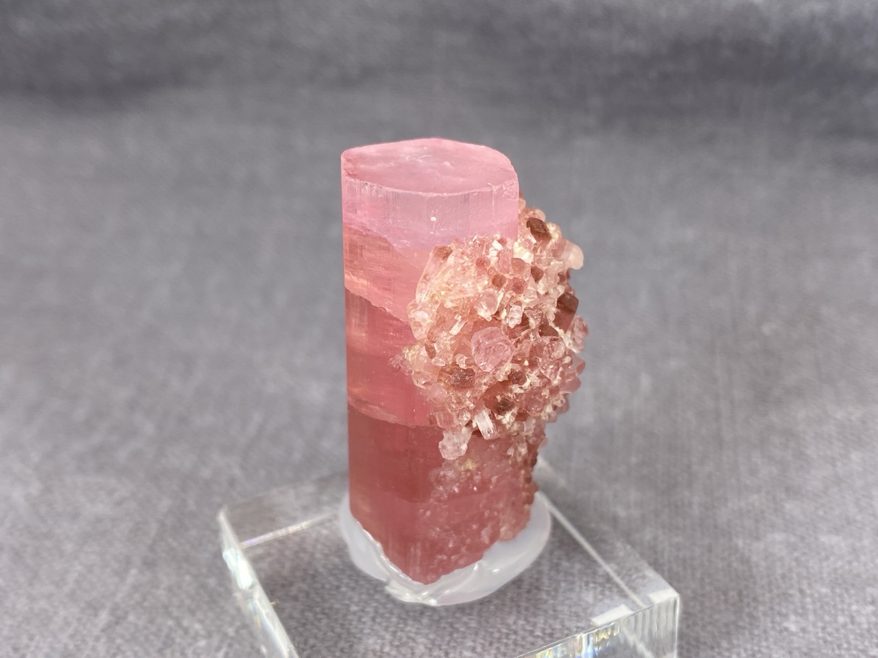 Rubellite - Image 9