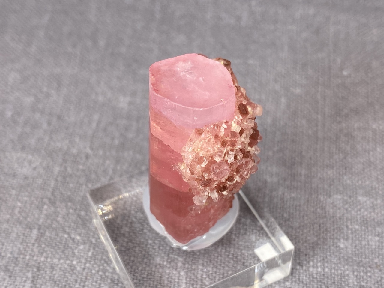 Rubellite - Image 10