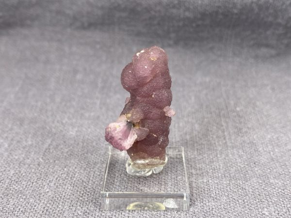 Rubellite on hambergite
