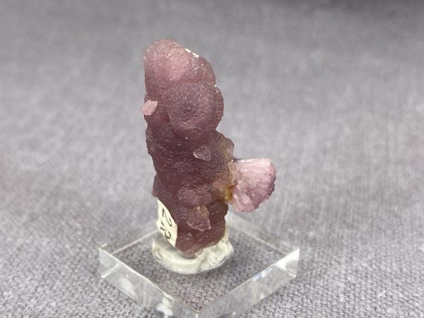 Rubellite on hambergite - Image 13