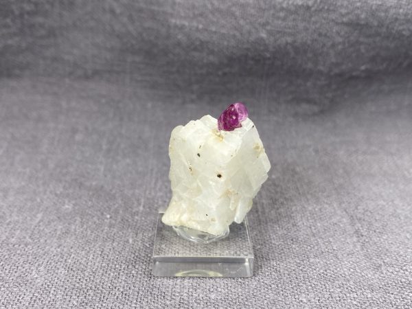 Ruby - Image 6