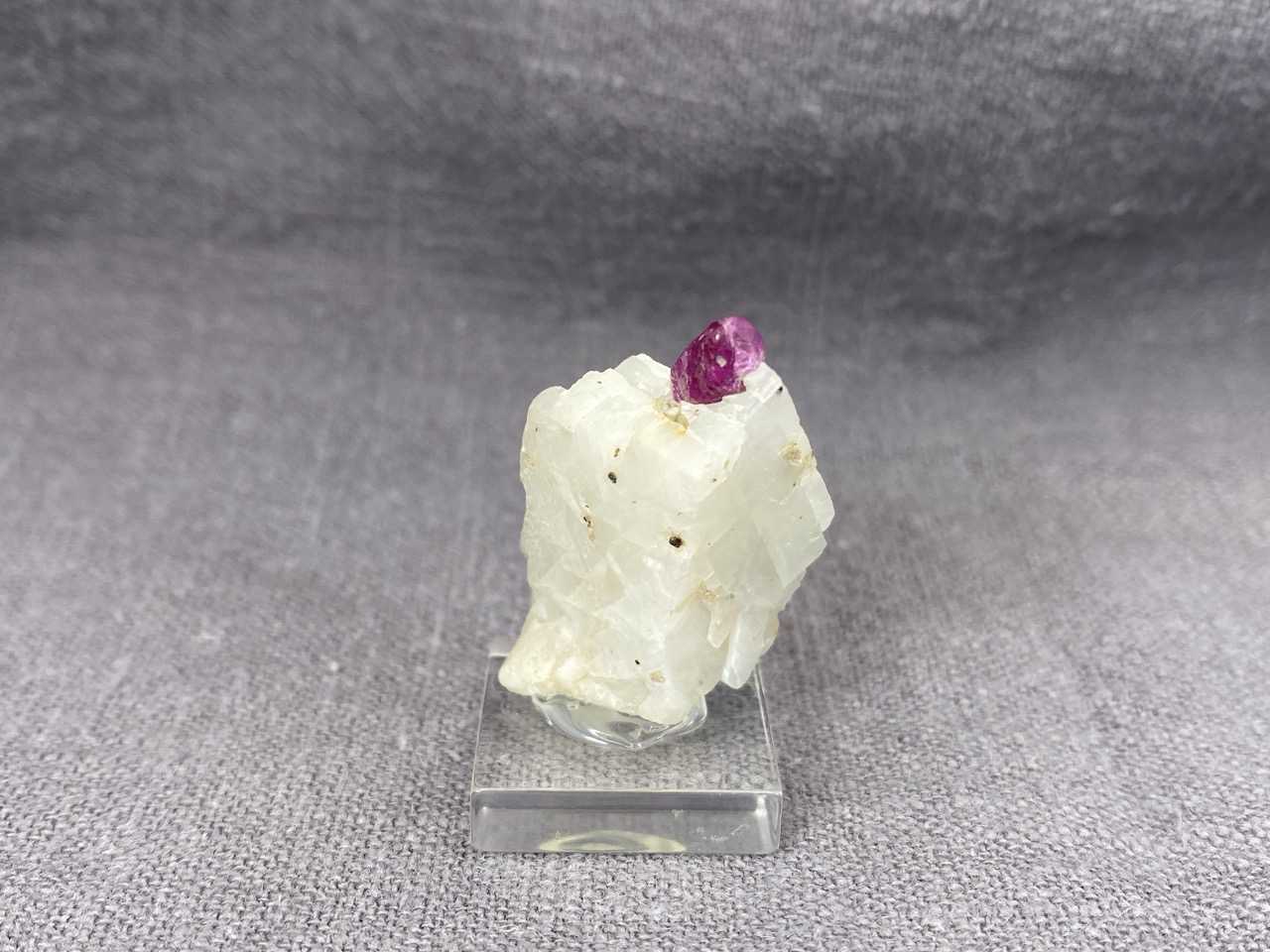 Ruby - Image 6