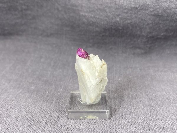 Ruby - Image 7