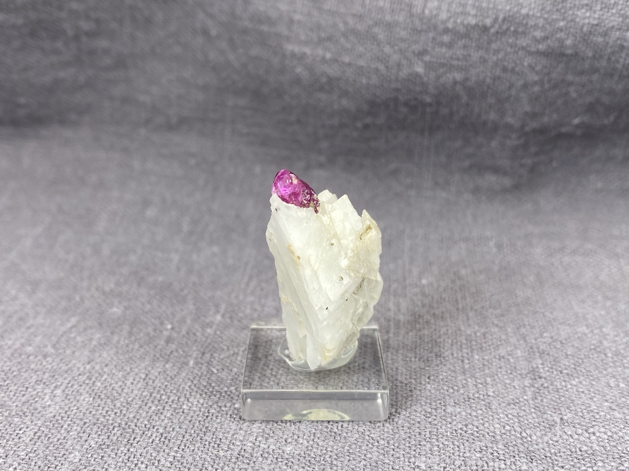 Ruby - Image 7