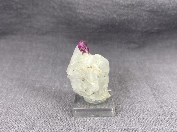 Ruby - Image 8