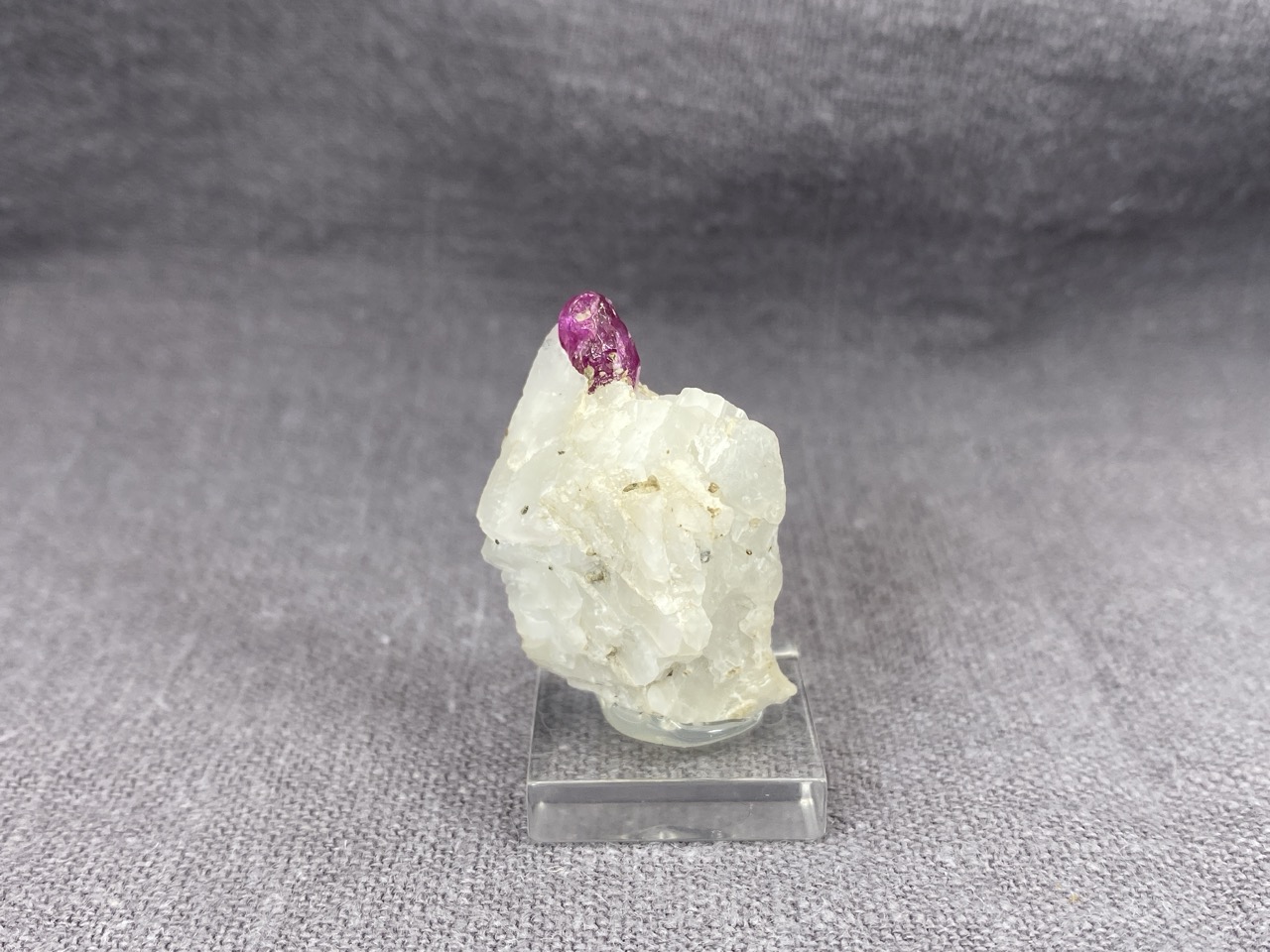 Ruby - Image 8