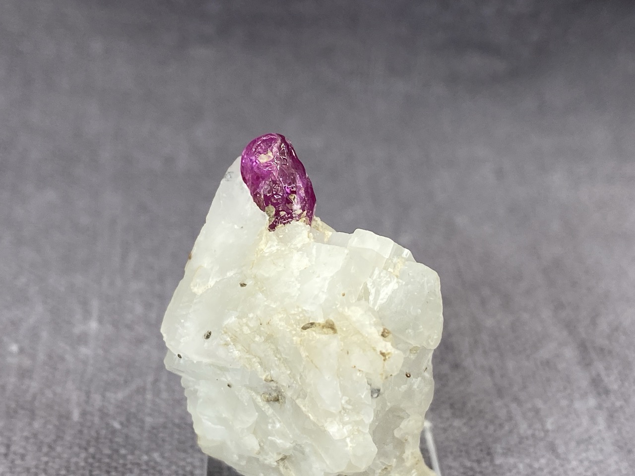 Ruby - Image 9