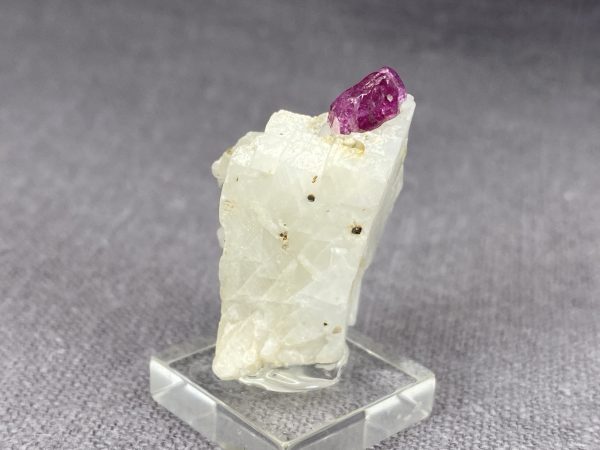 Ruby - Image 11