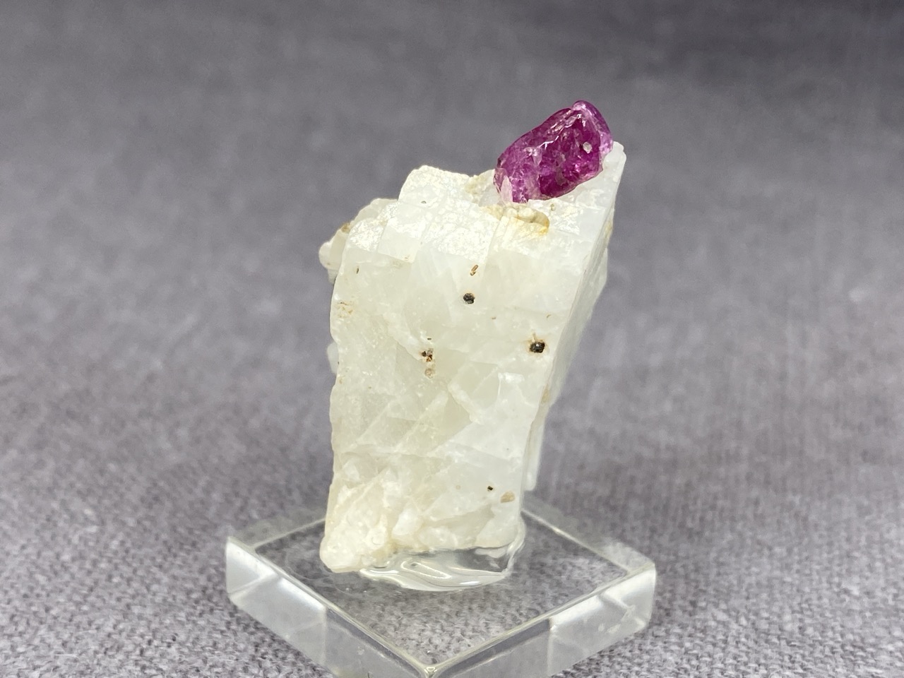 Ruby - Image 11