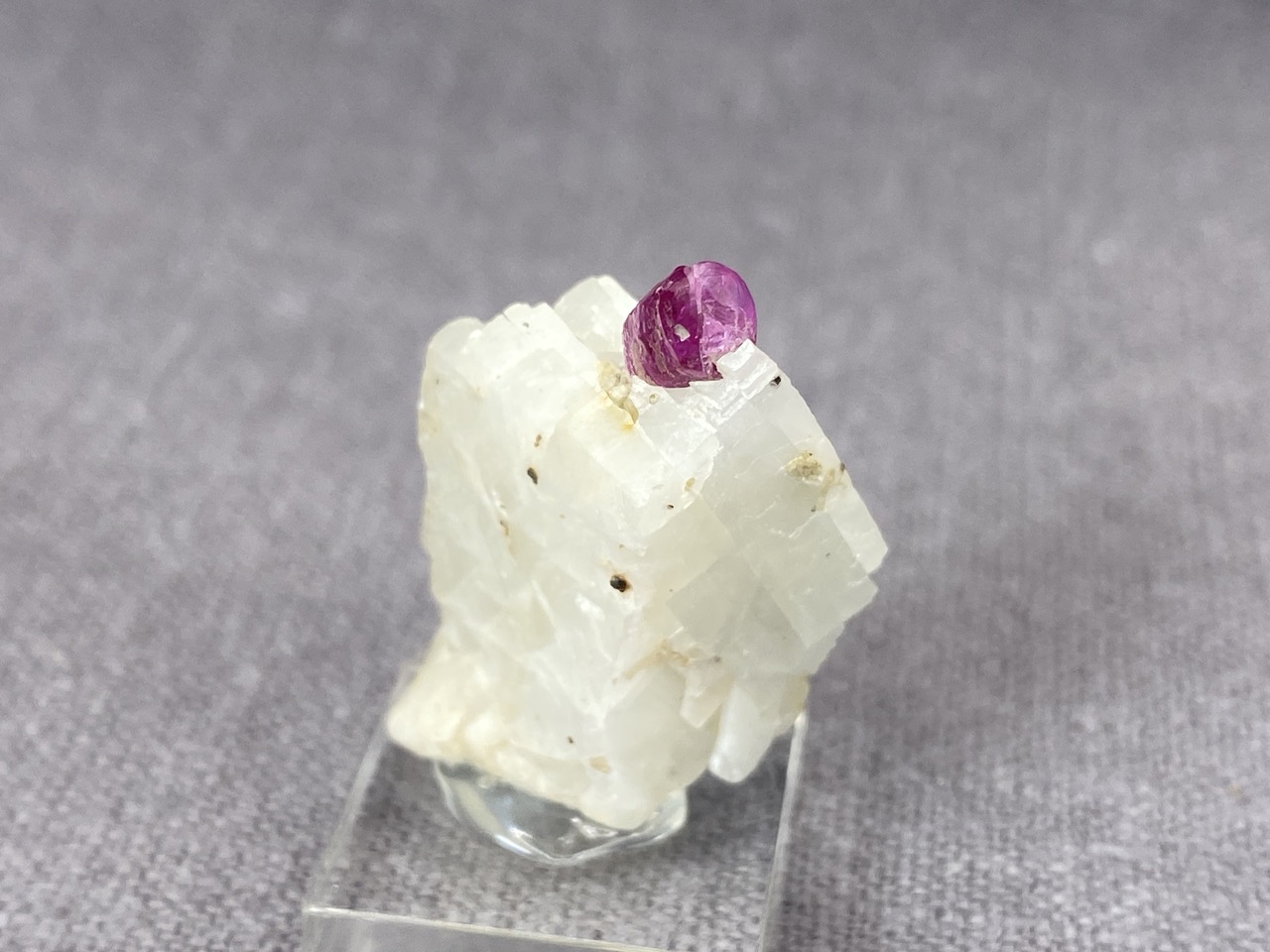 Ruby - Image 12