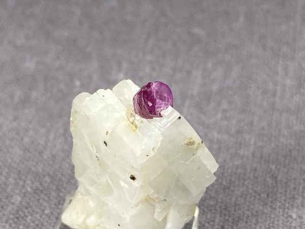 Ruby - Image 13