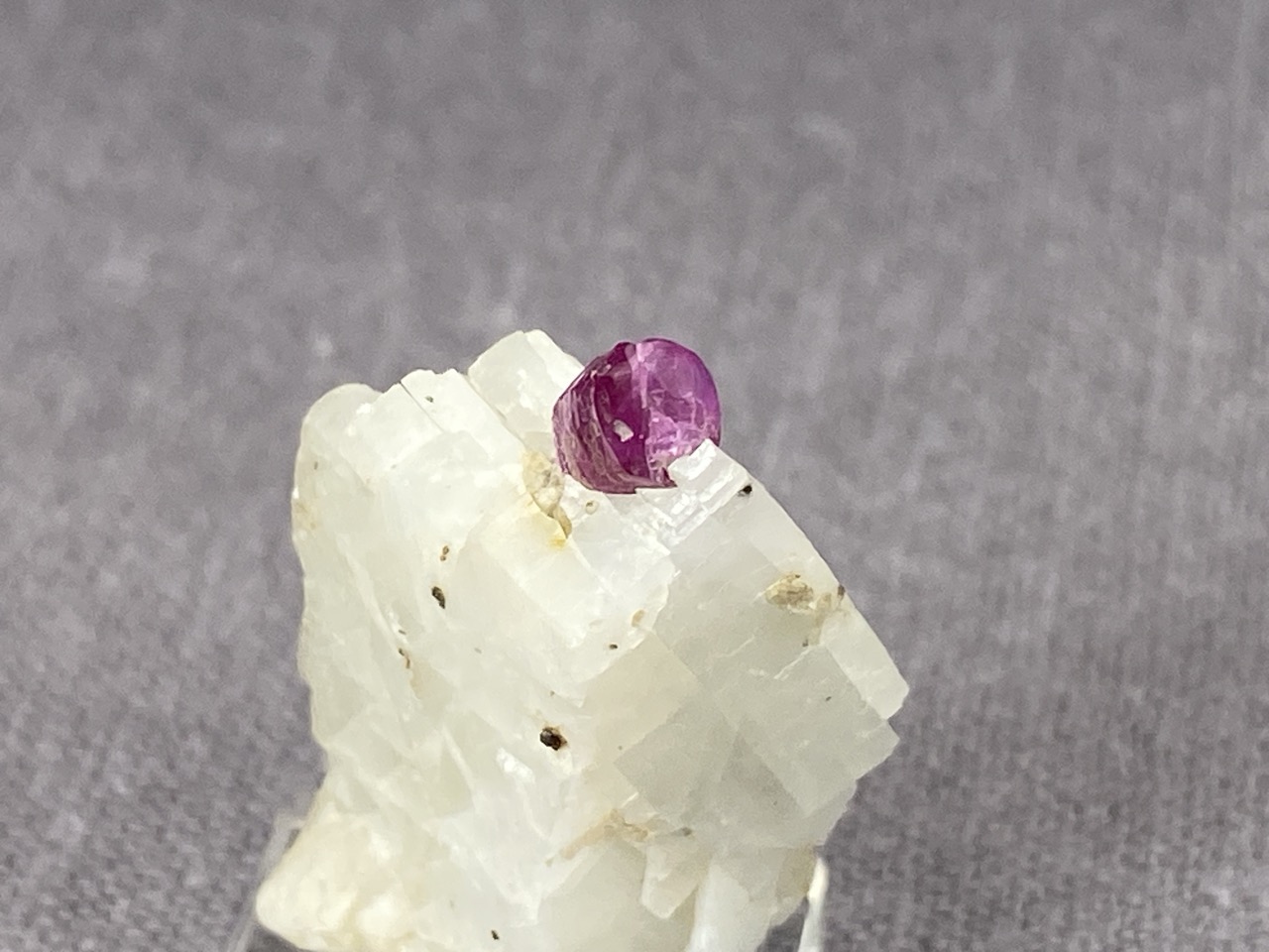 Ruby - Image 13
