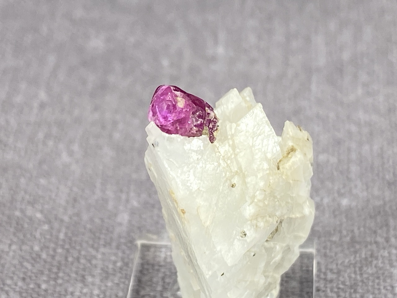 Ruby - Image 14