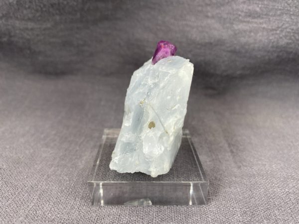 Ruby - Image 8