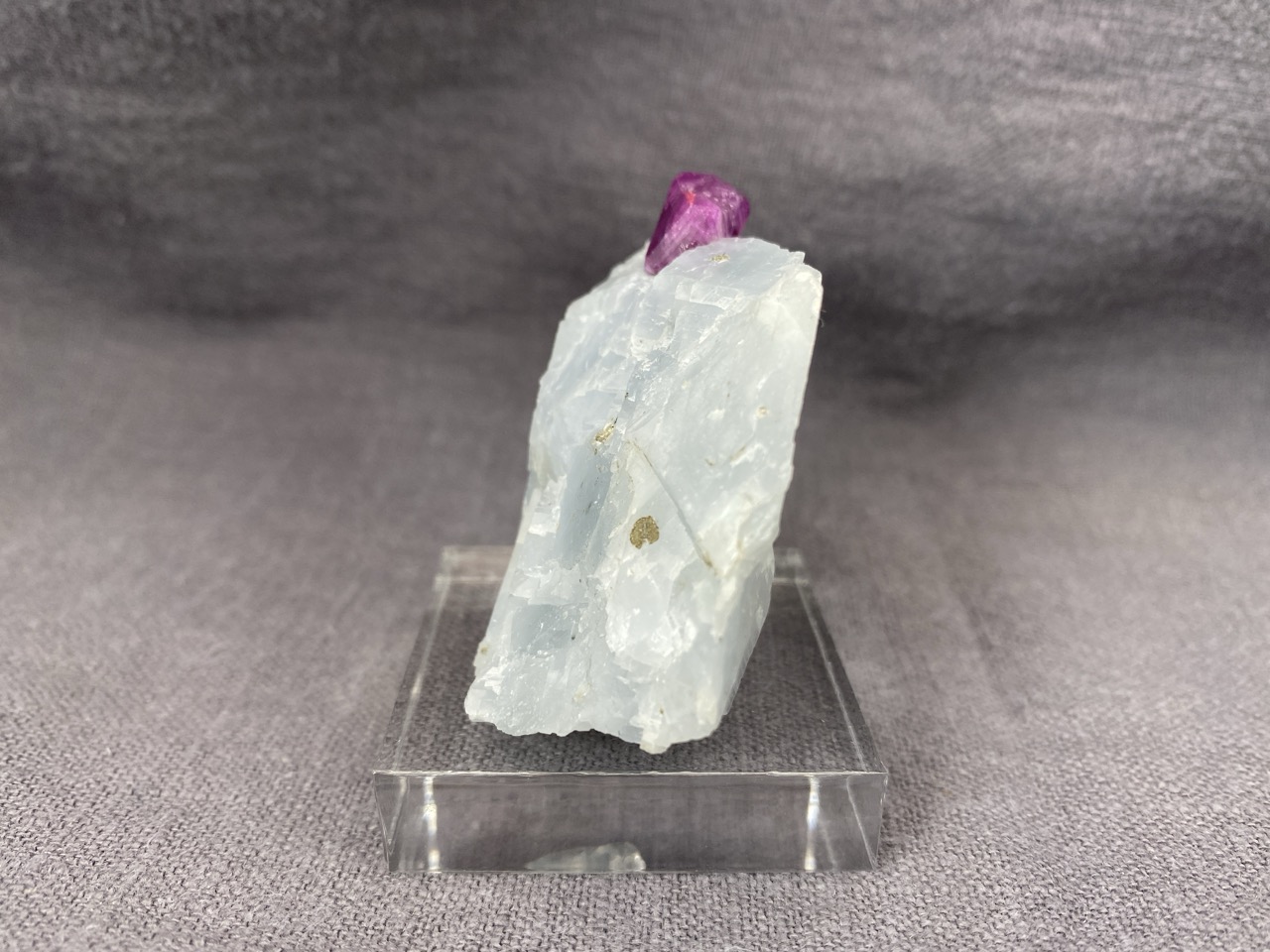 Ruby - Image 8