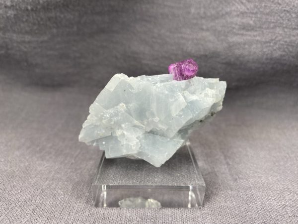 Ruby - Image 9
