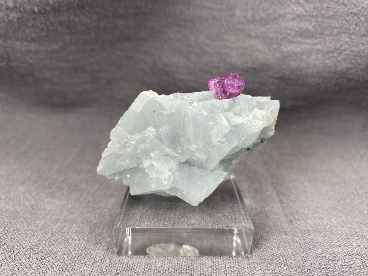 Ruby - Image 9
