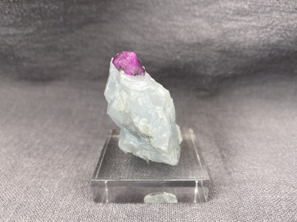 Ruby - Image 10