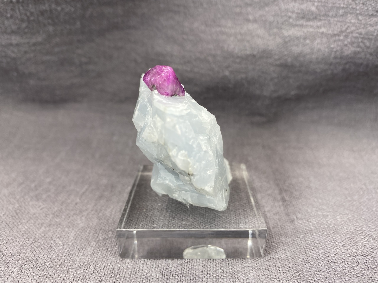 Ruby - Image 10
