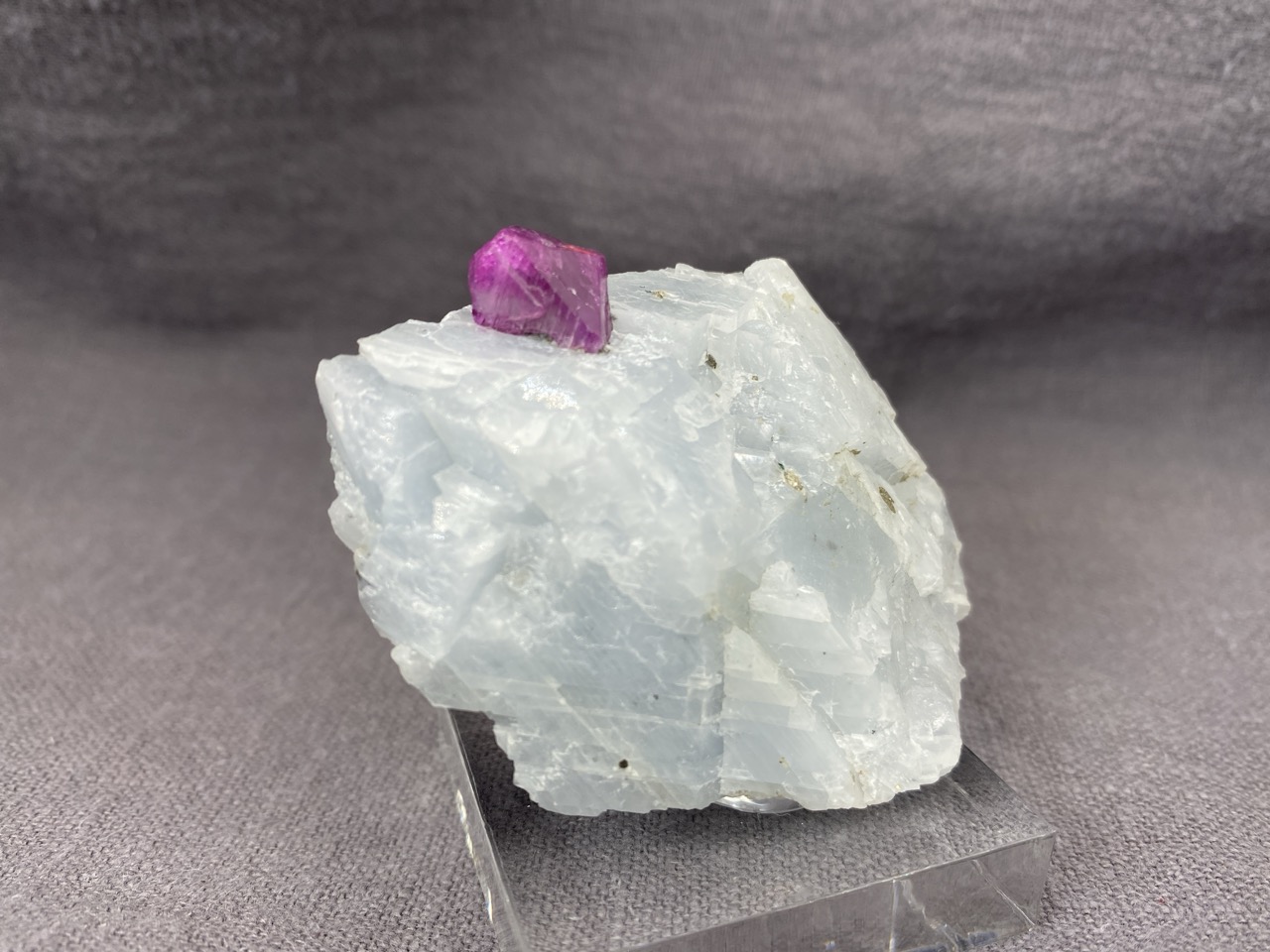 Ruby - Image 11