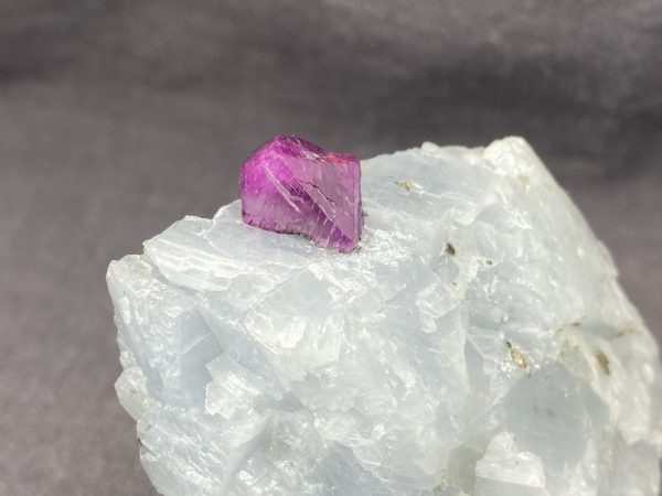 Ruby - Image 12