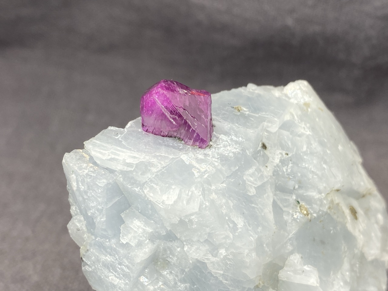 Ruby - Image 12