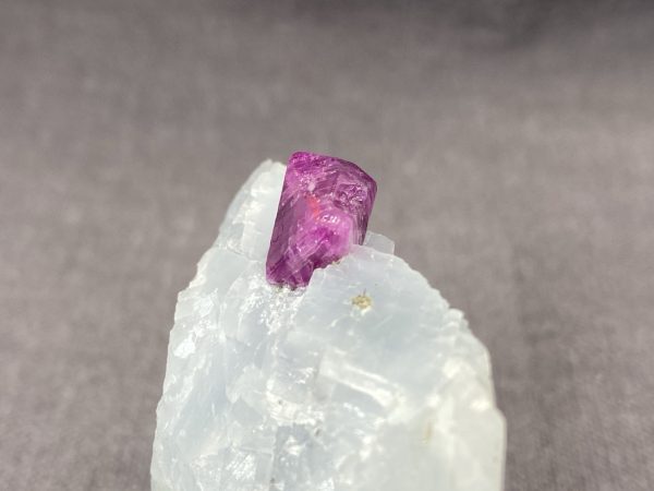 Ruby - Image 13