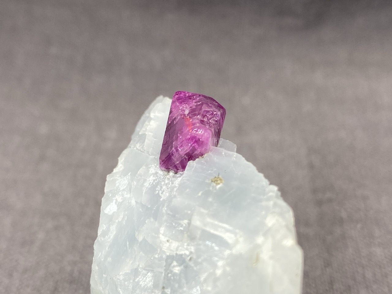 Ruby - Image 13