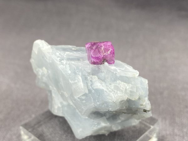 Ruby - Image 15