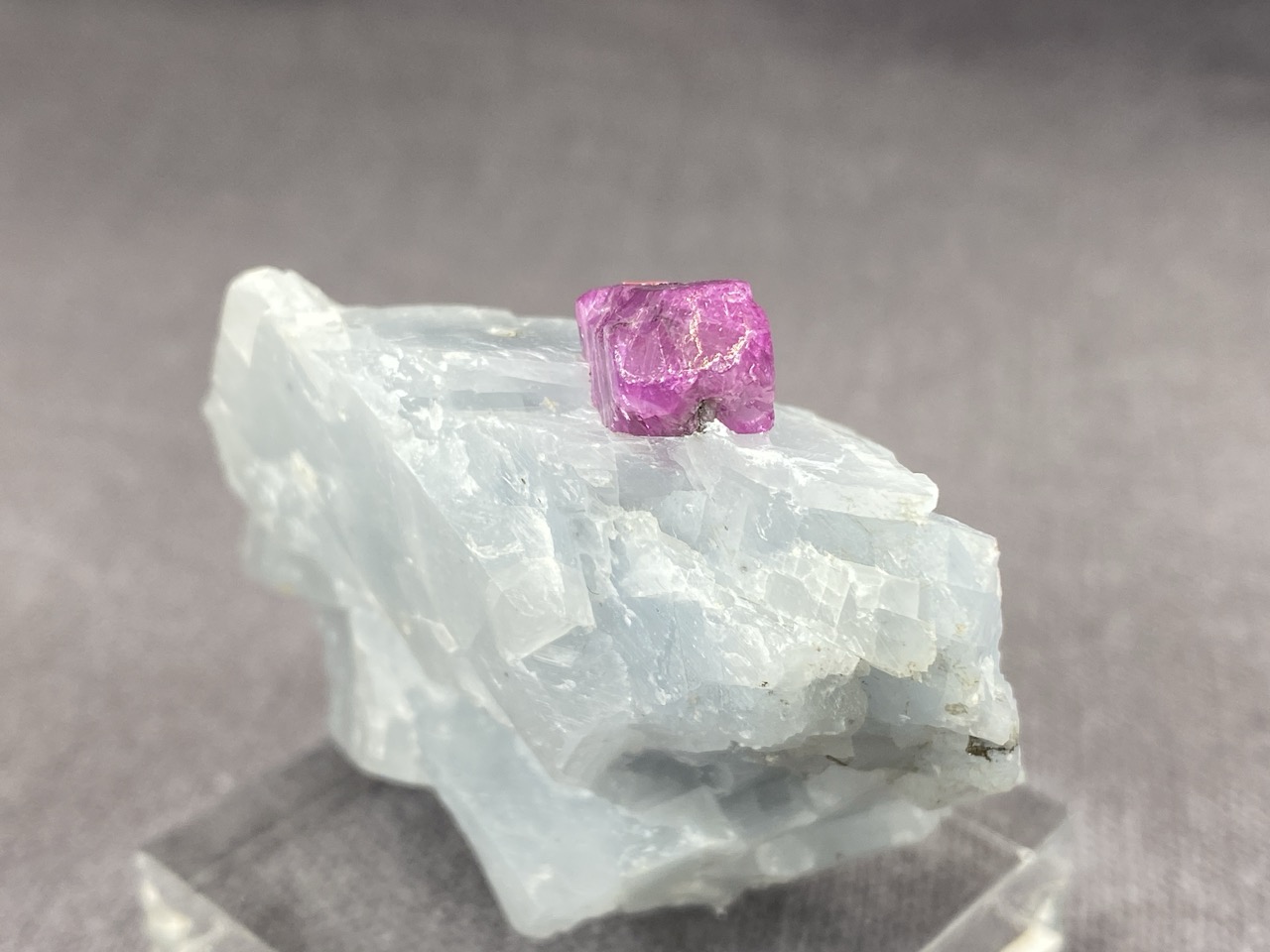 Ruby - Image 15