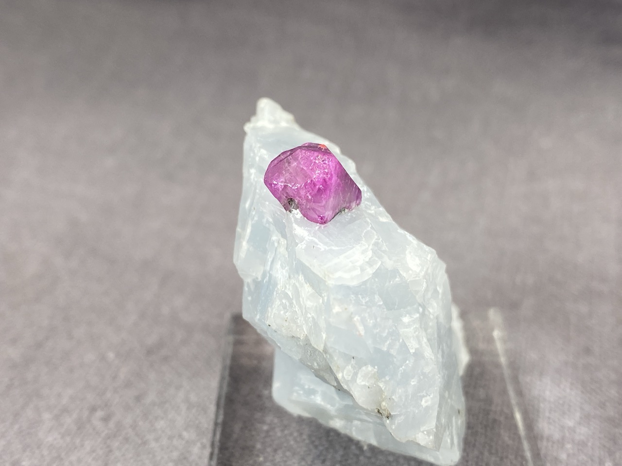 Ruby - Image 16