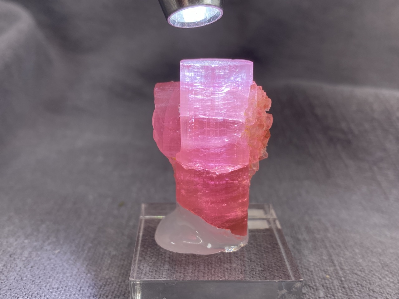 Rubellite - Image 2