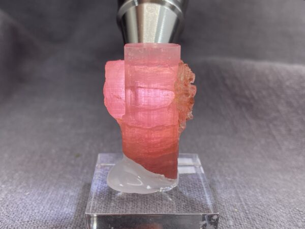 Rubellite - Image 4