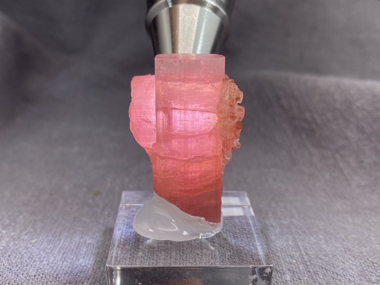 Rubellite - Image 4
