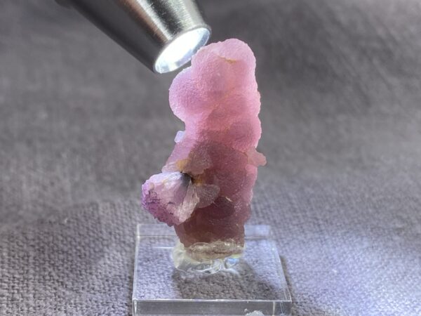 Rubellite on hambergite - Image 2