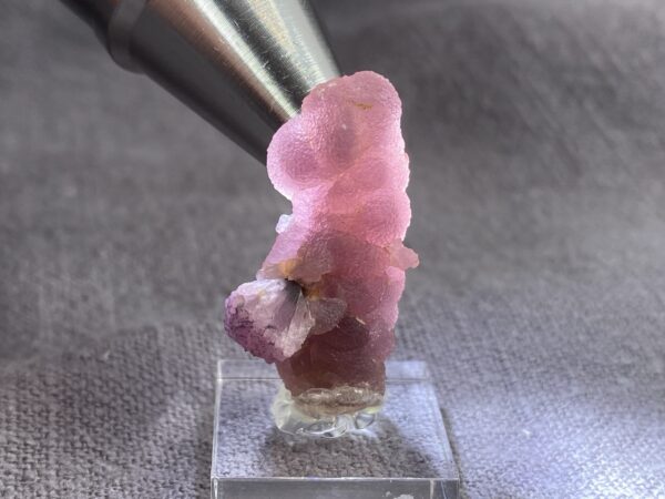 Rubellite on hambergite - Image 3
