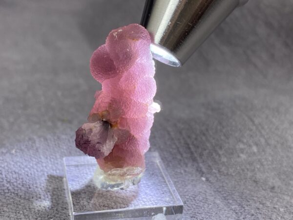 Rubellite on hambergite - Image 7