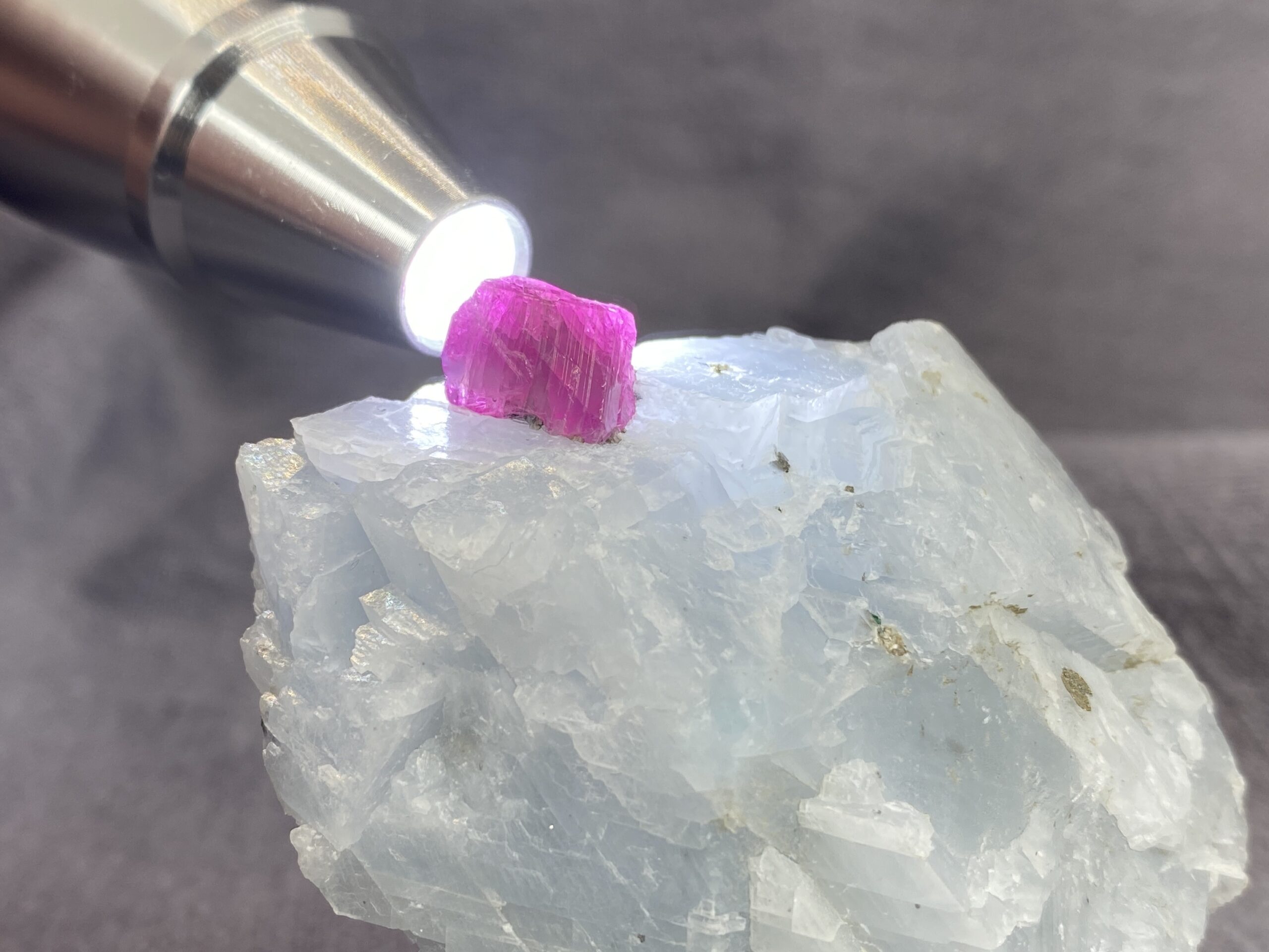 Ruby - Image 3