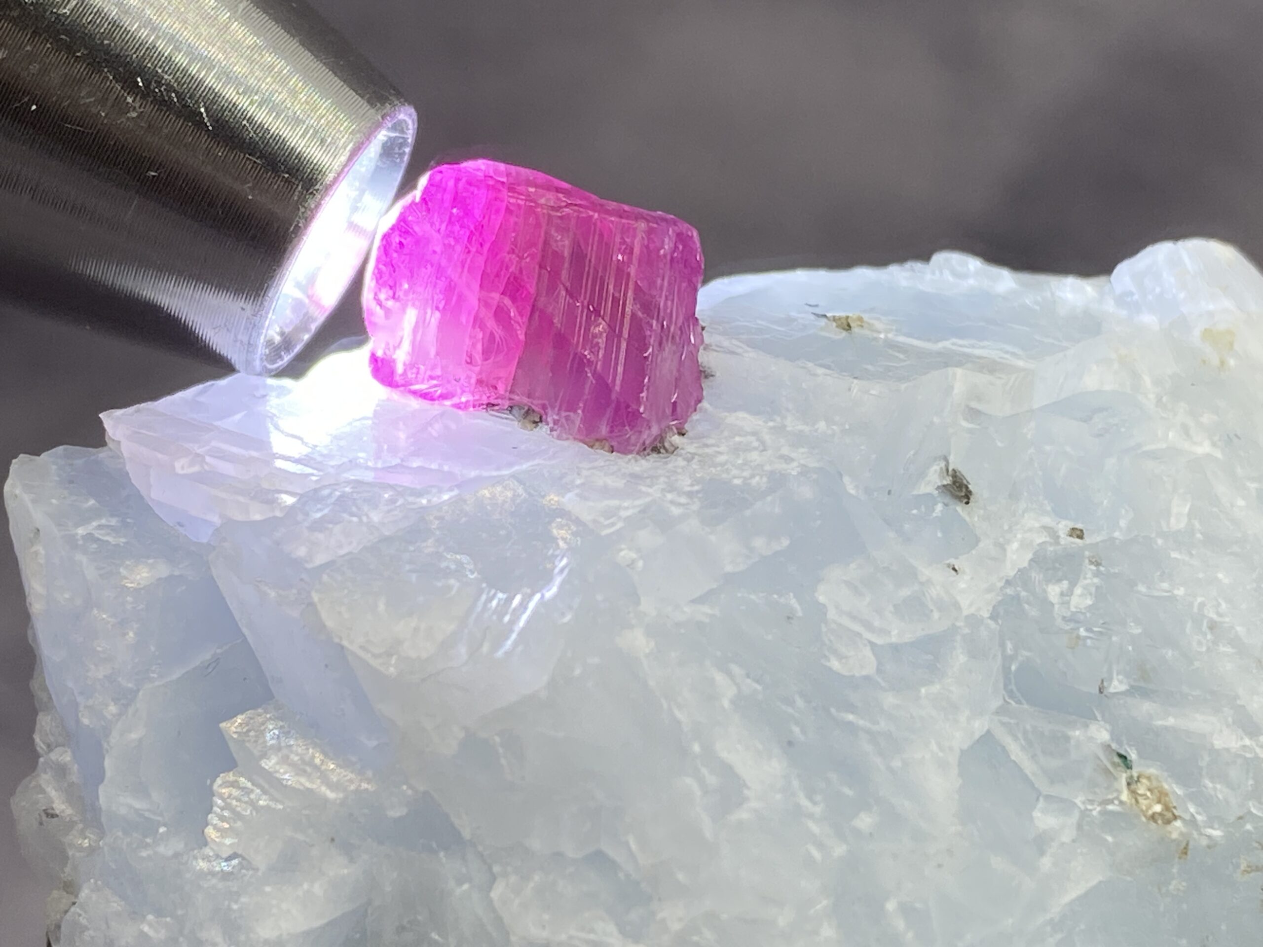 Ruby - Image 4
