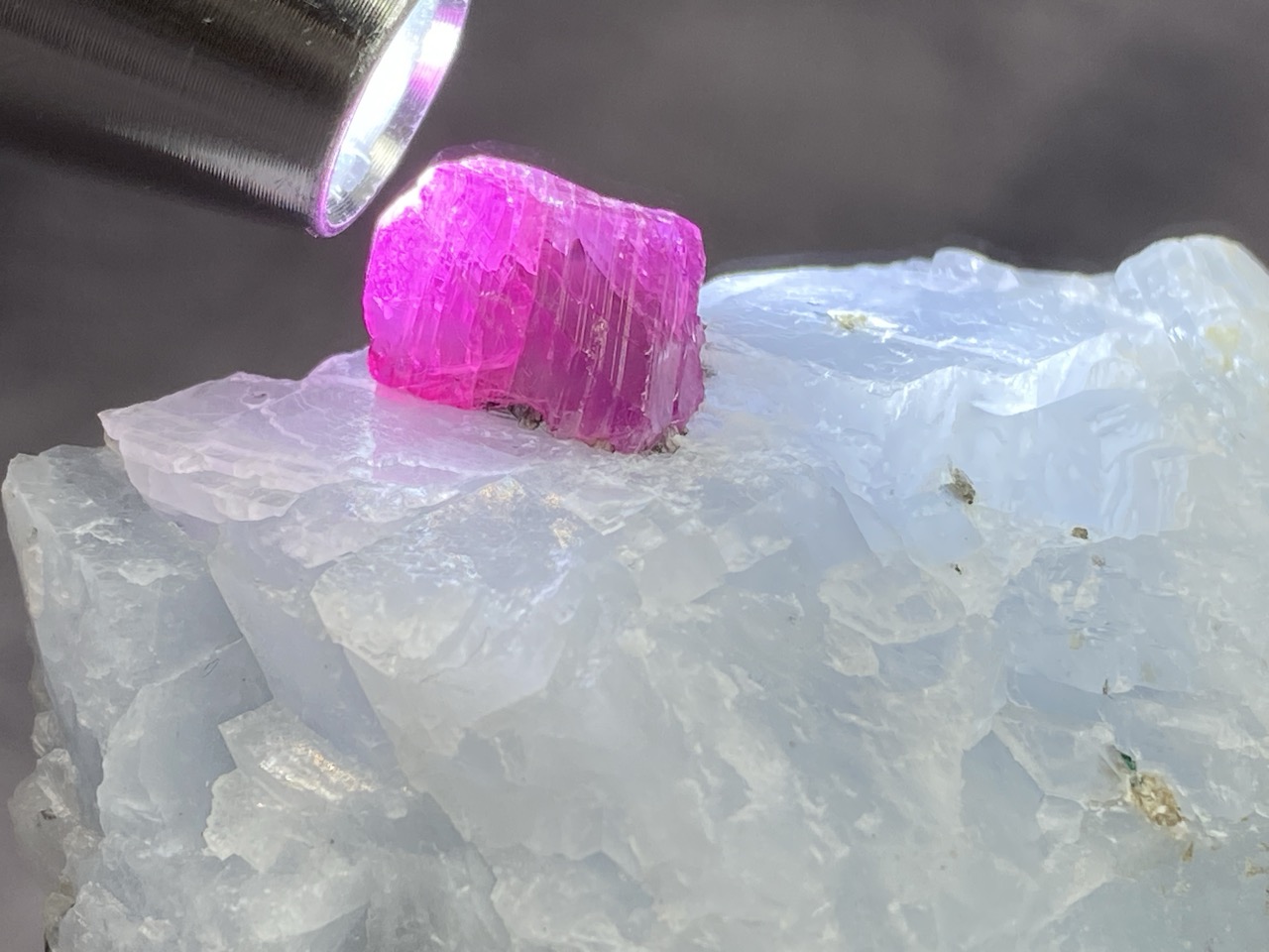 Ruby - Image 5