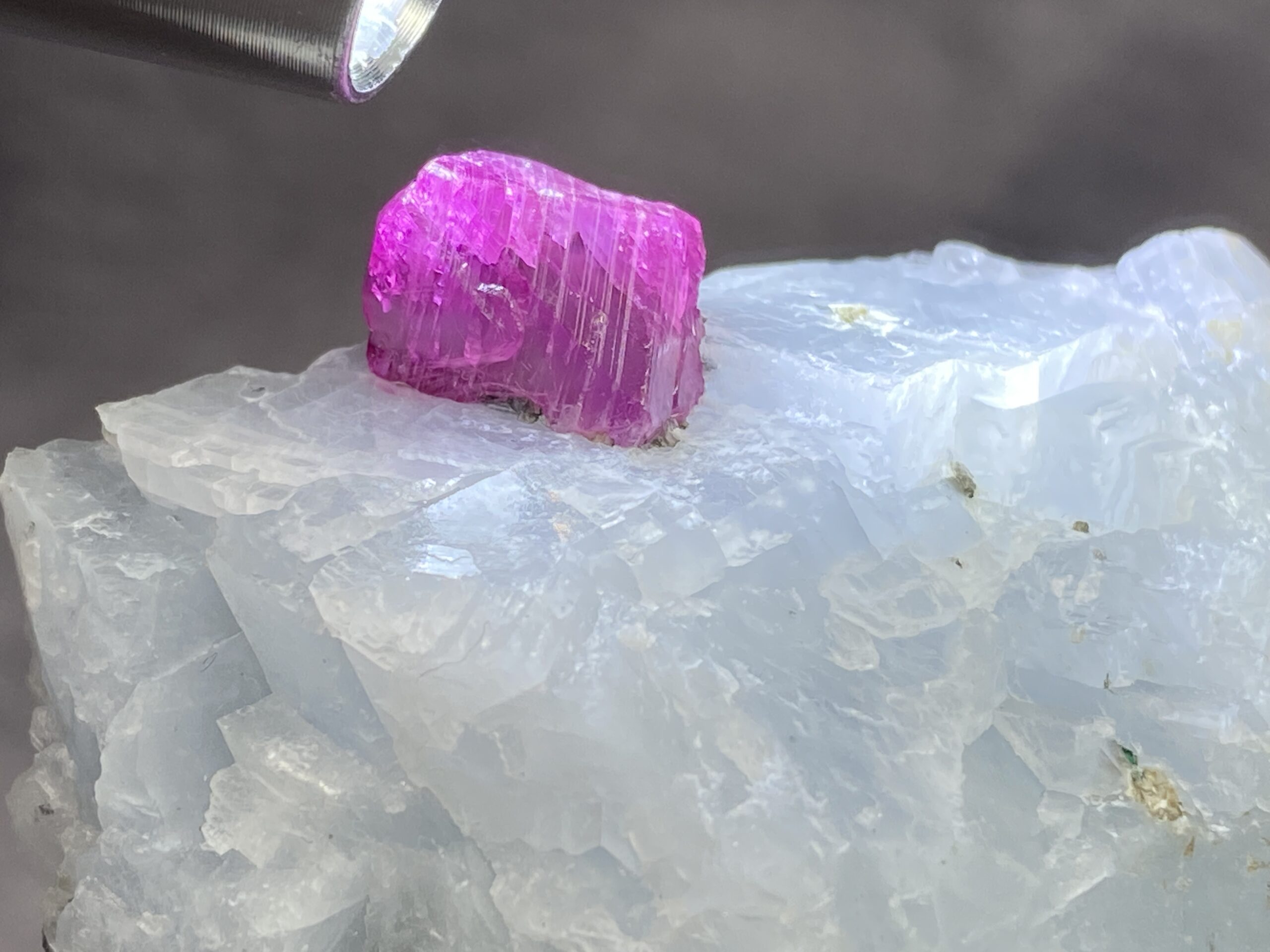 Ruby - Image 6