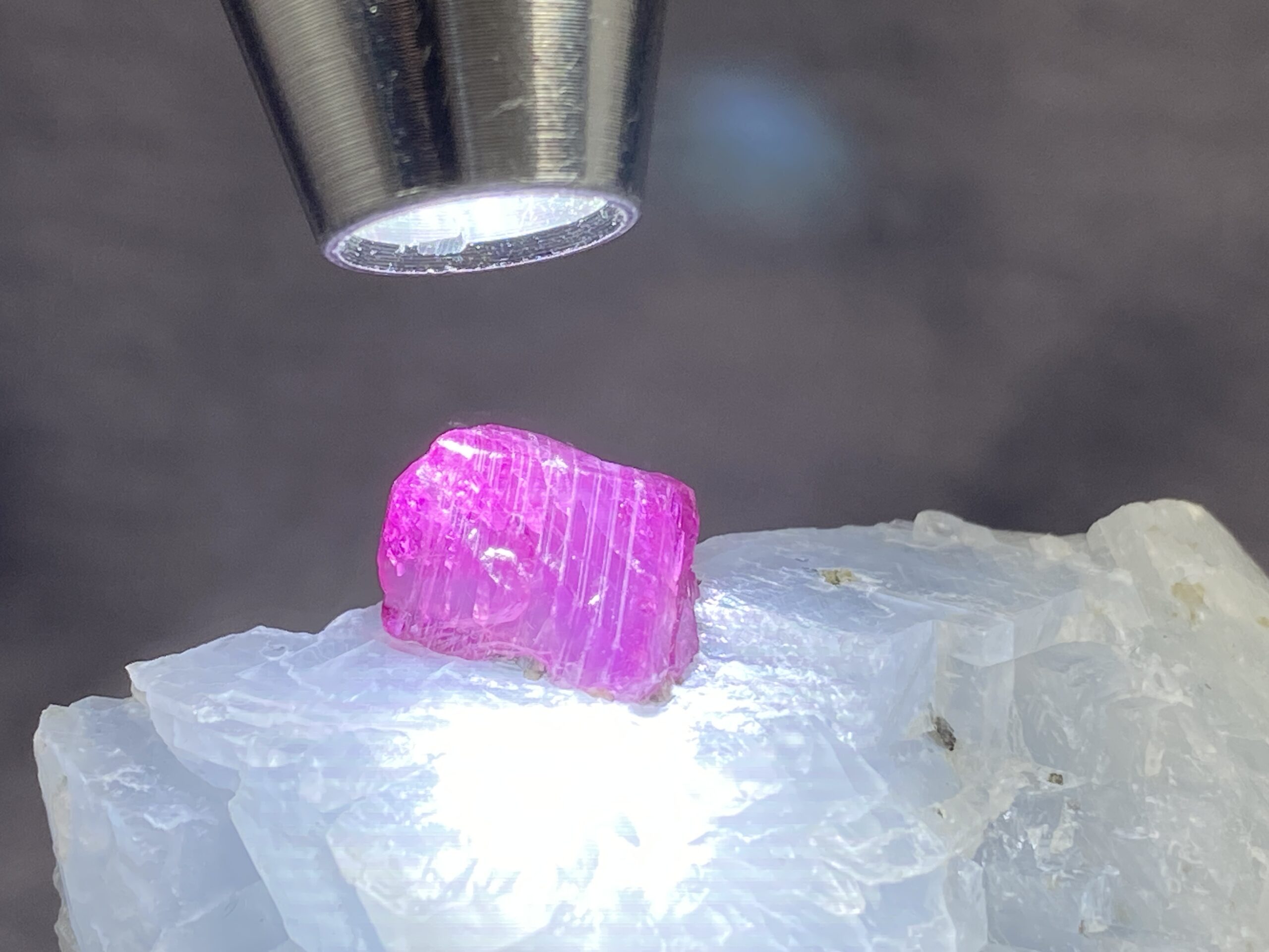 Ruby - Image 7