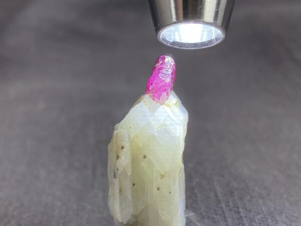 Ruby - Image 5