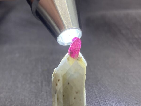 Ruby - Image 4