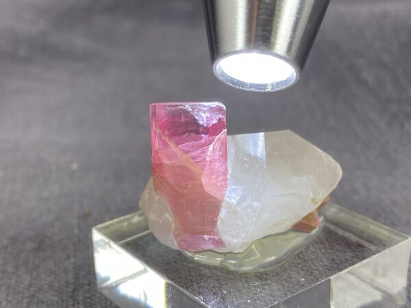 Rubellite, quartz - Image 5