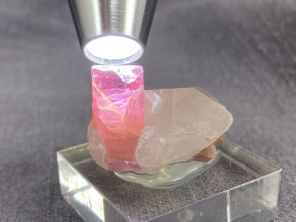 Rubellite, quartz - Image 6