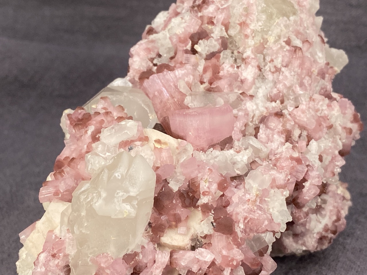 Rubellite - Image 5